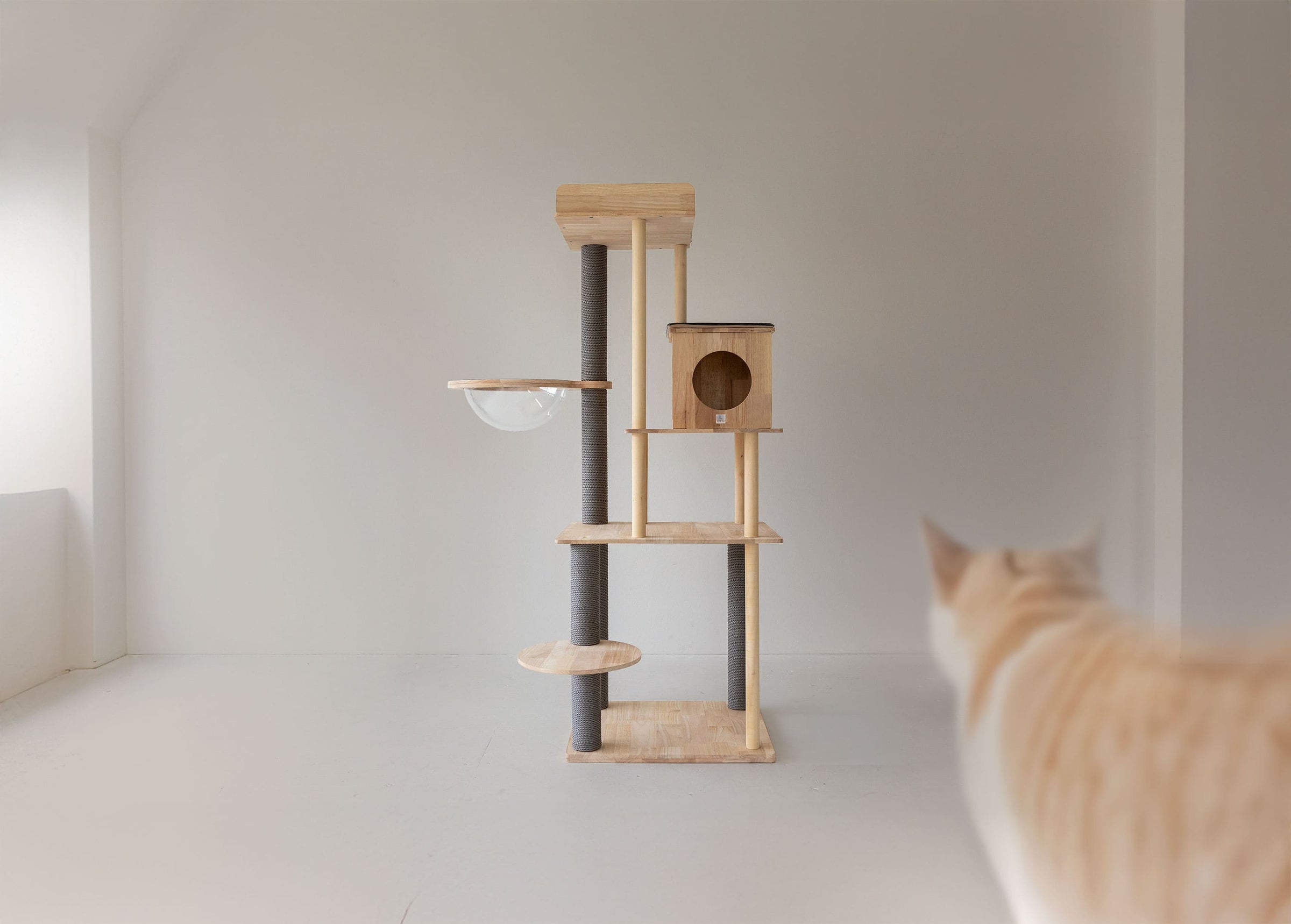 söpöa CAT TREE