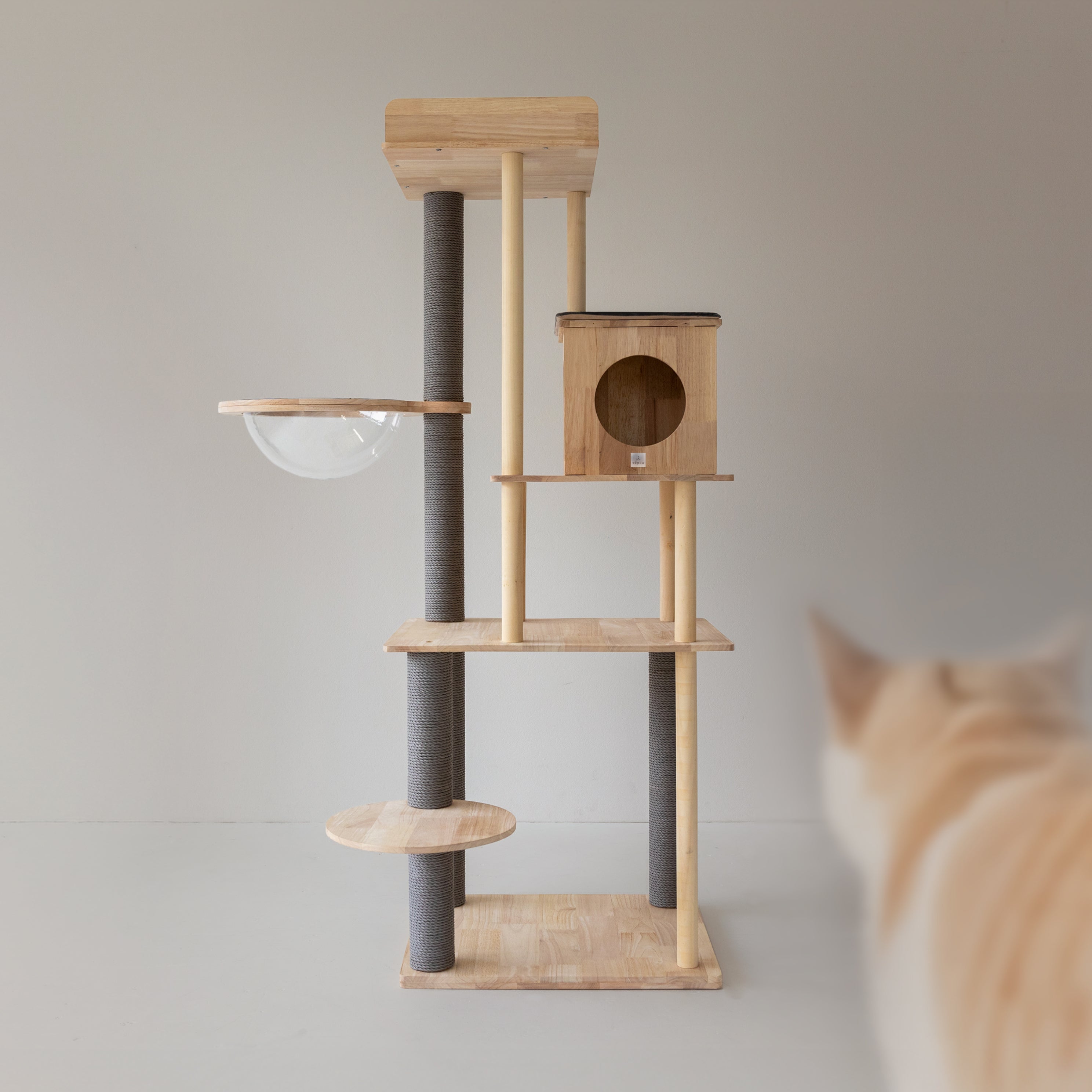 sopoa キャットタワー165cm 木製 据え置き 天然木 無垢材 大型猫 CAT TREE M – söpöa