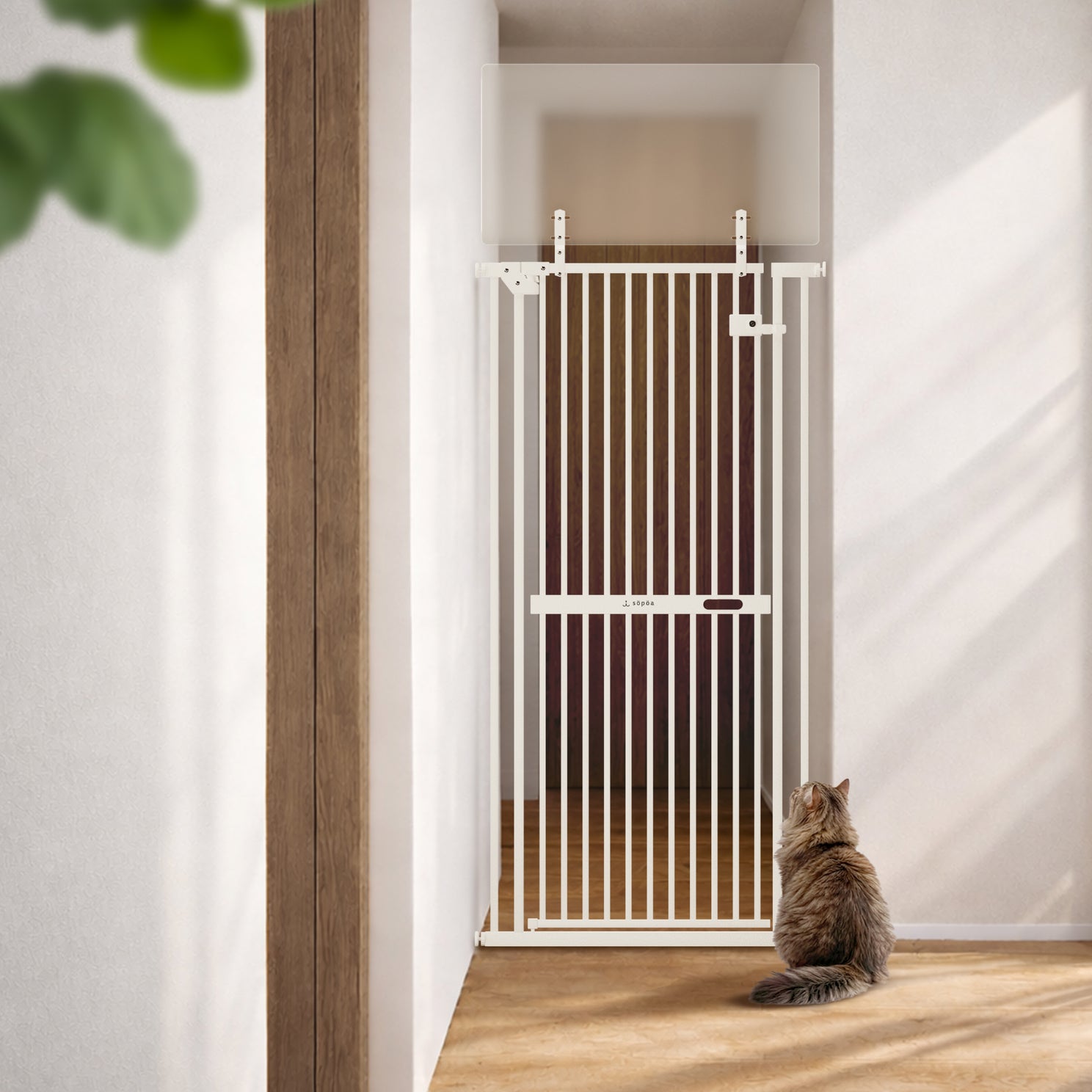 こ*ん様 CAT WALL söpöa ホワイト ペットドア söpöa CAT WALL