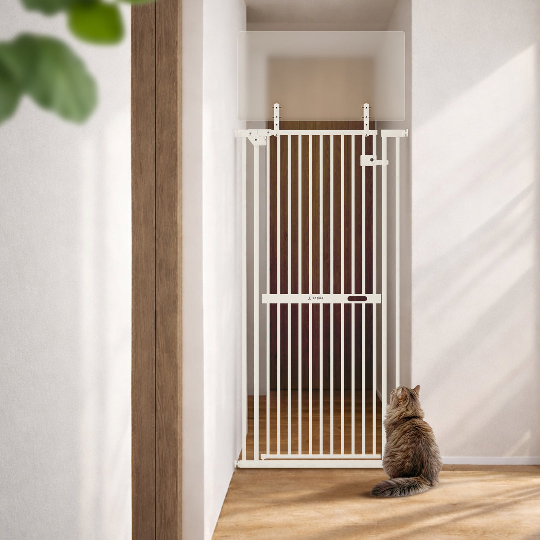 CAT WALL