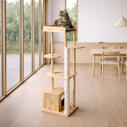 CAT TREE S