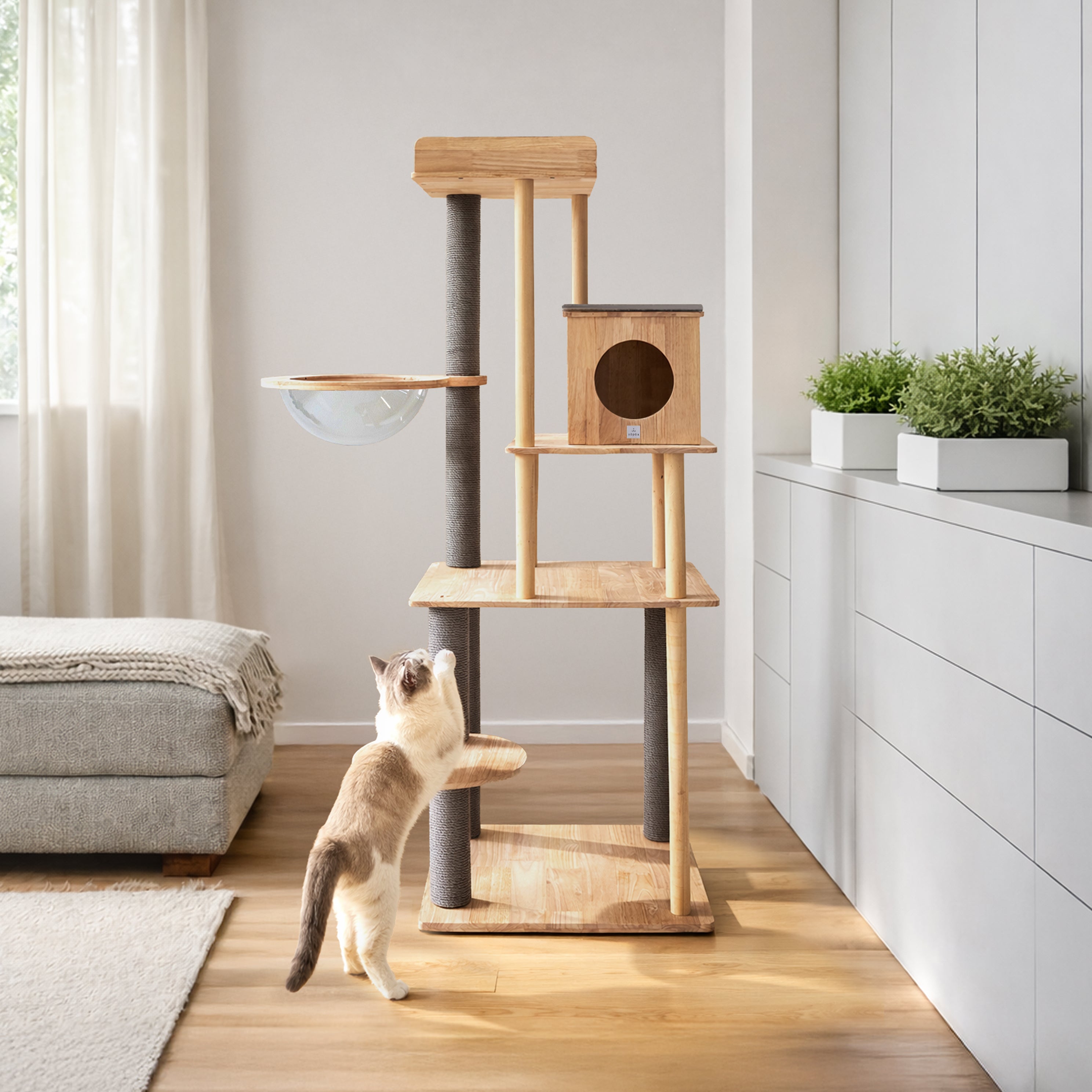 sopoa キャットタワー165cm 木製 据え置き 天然木 無垢材 大型猫 楽天市場】ねこぞくスカイタワー キャットタワー198cm 木製 猫タワー
