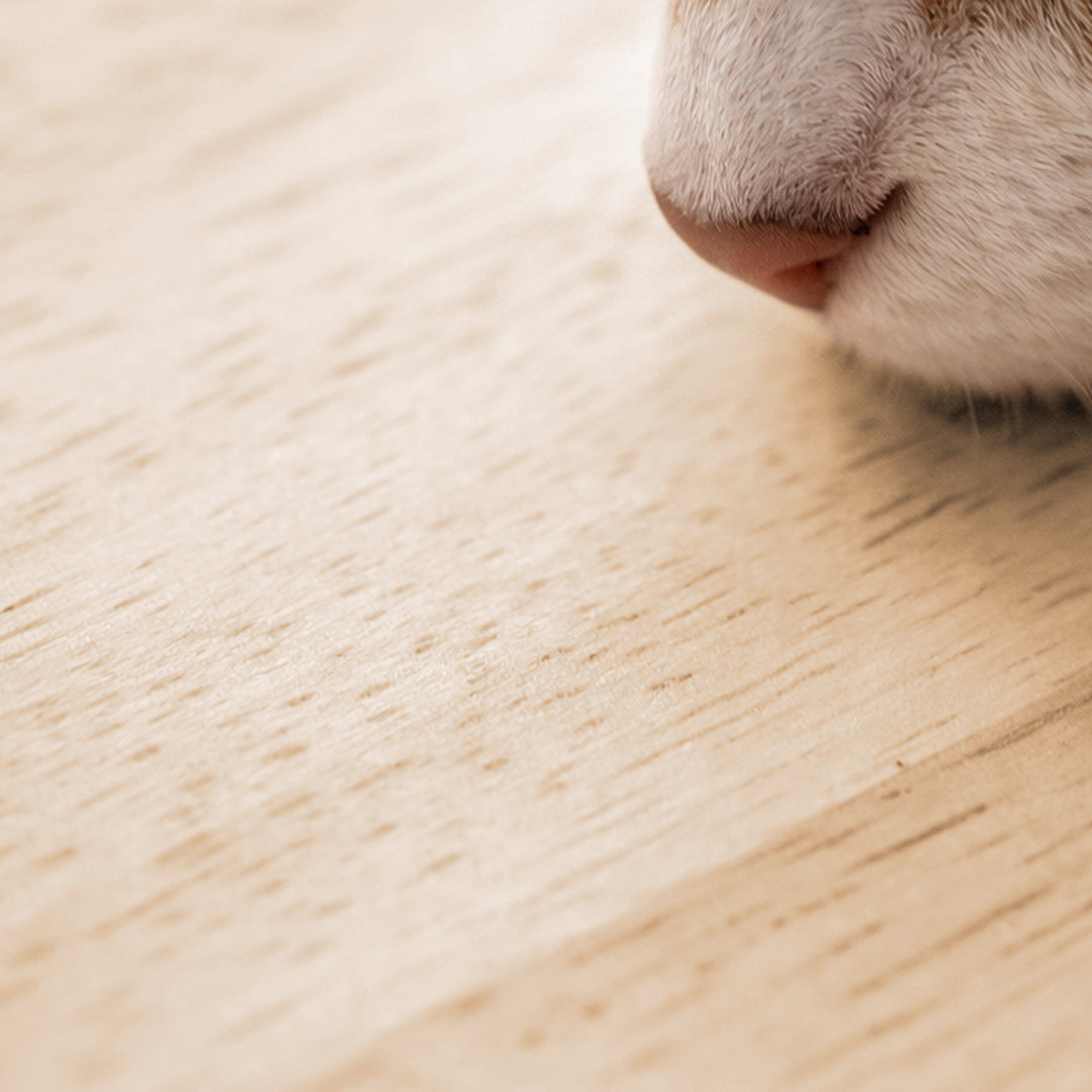 söpöa CAT TREE  キャットツリーS