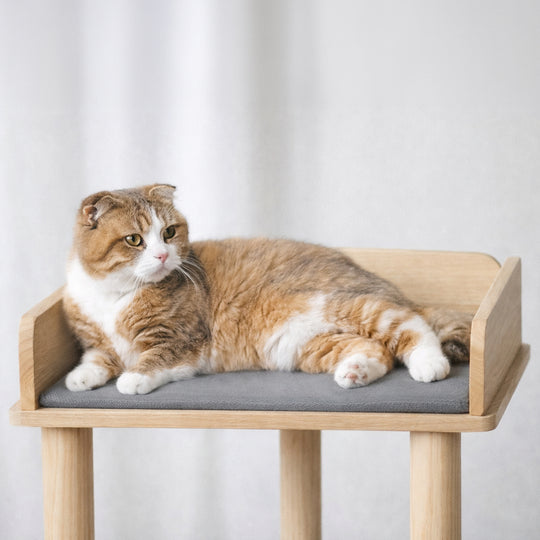 CAT TREE S