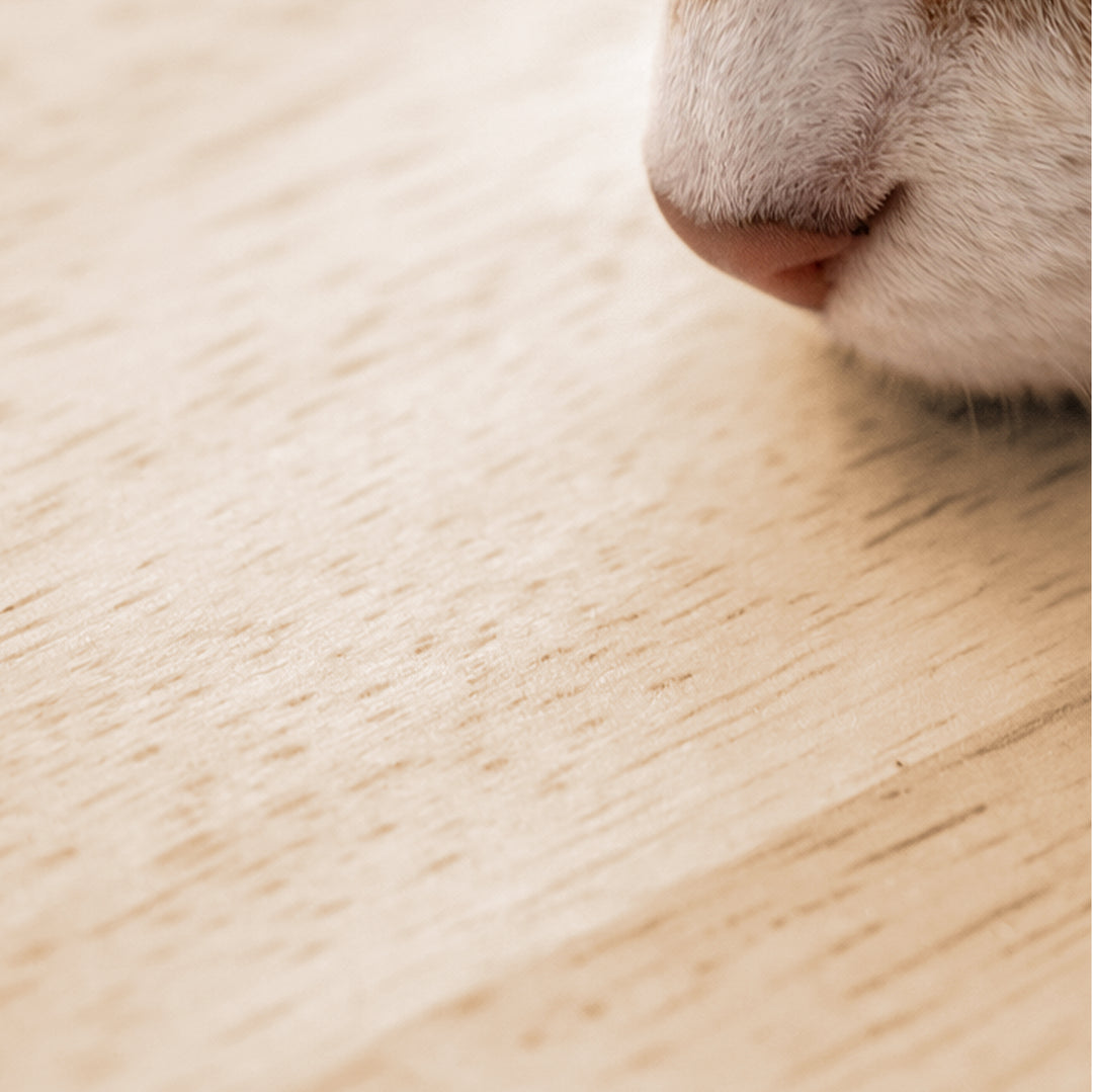 söpöa CAT TREE  キャットツリーM