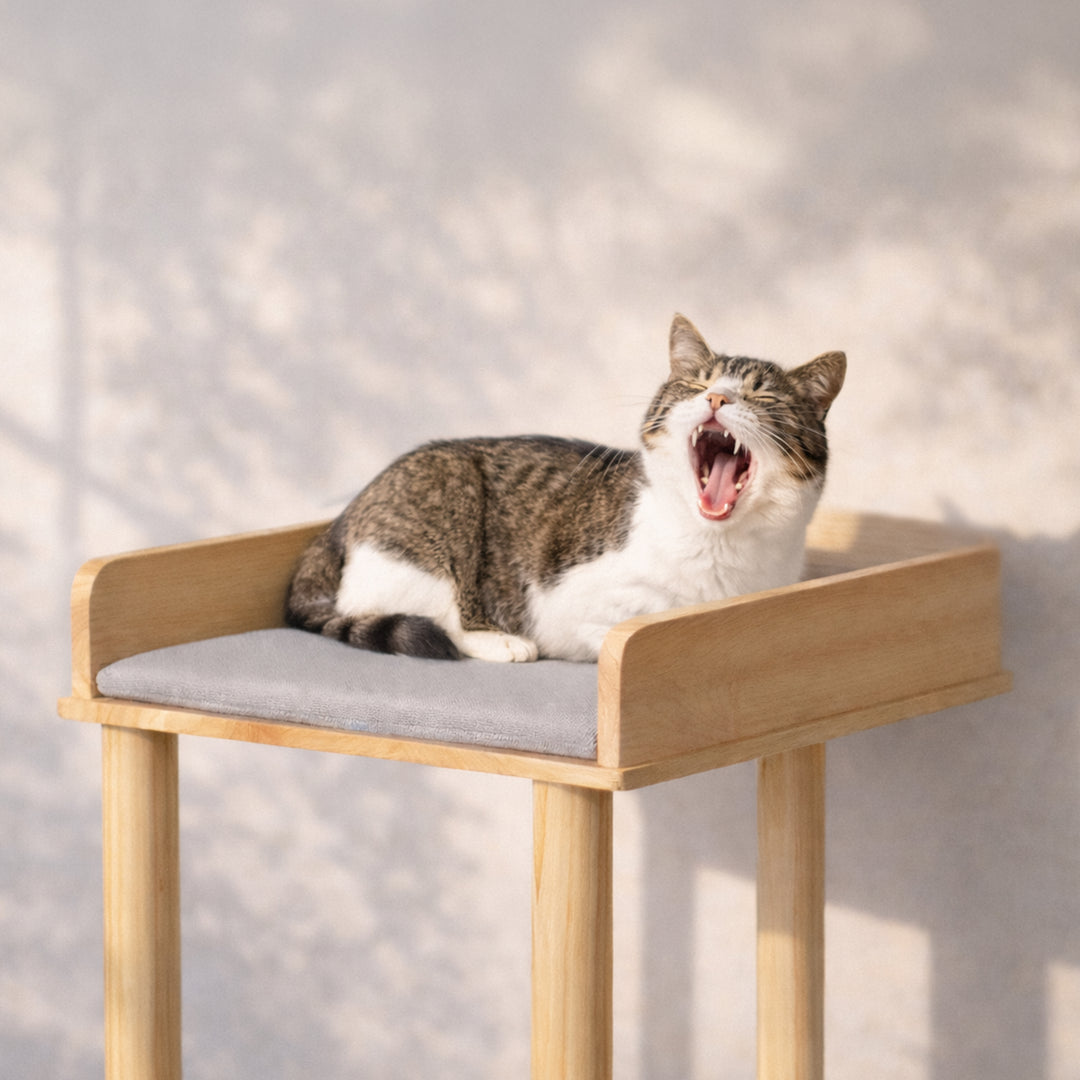 söpöa CAT TREE  キャットツリーS