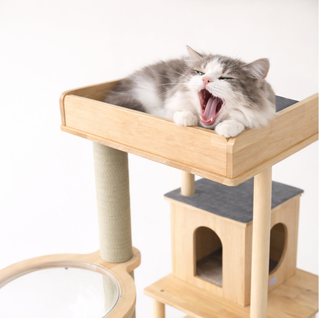 söpöa CAT TREE  キャットツリーM