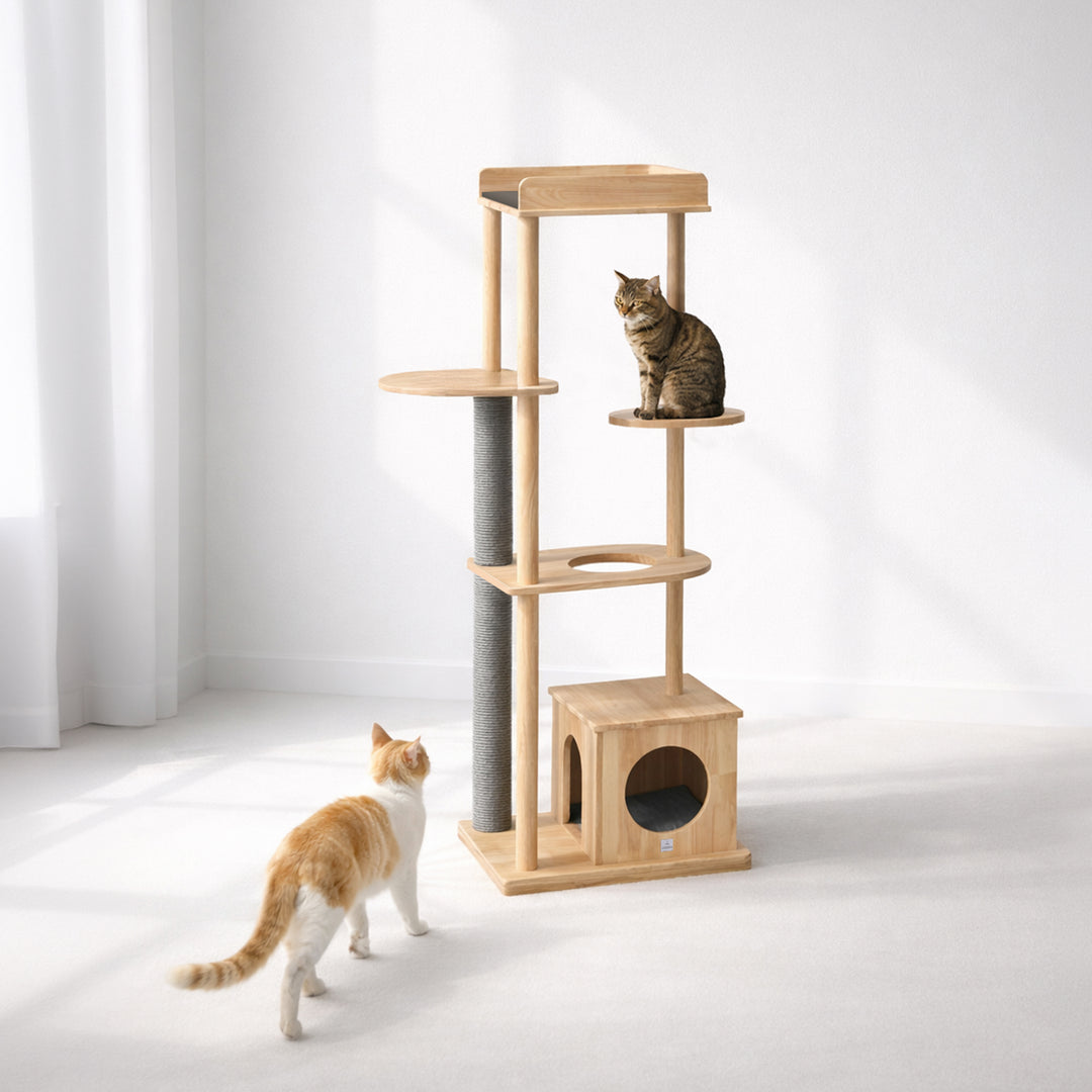 söpöa CAT TREE S