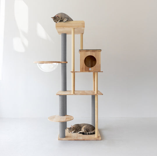 söpöa CAT TREE  キャットツリーM