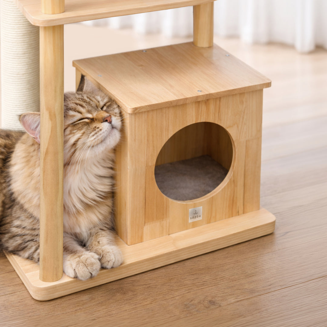 CAT TREE S