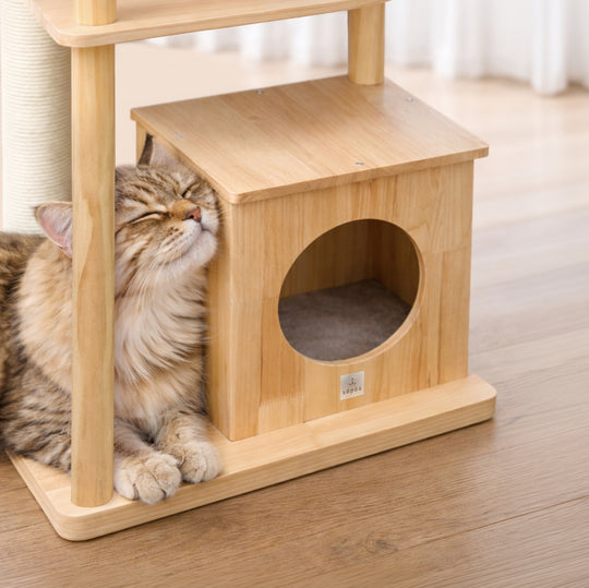 CAT TREE S