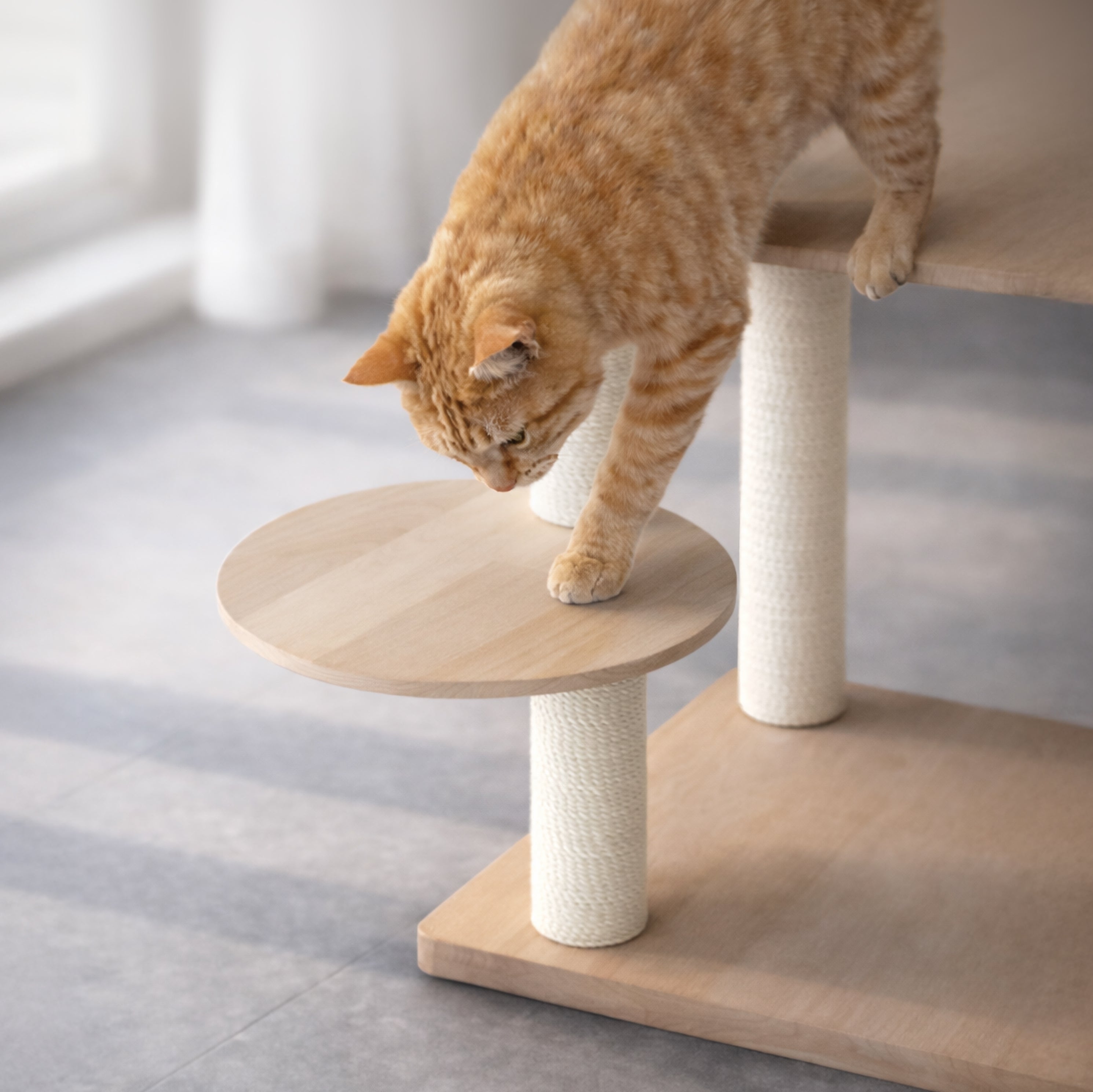 CAT TREE M – söpöa