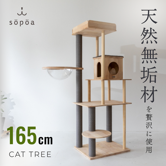 CAT TREE【8月20日ごろ入荷】