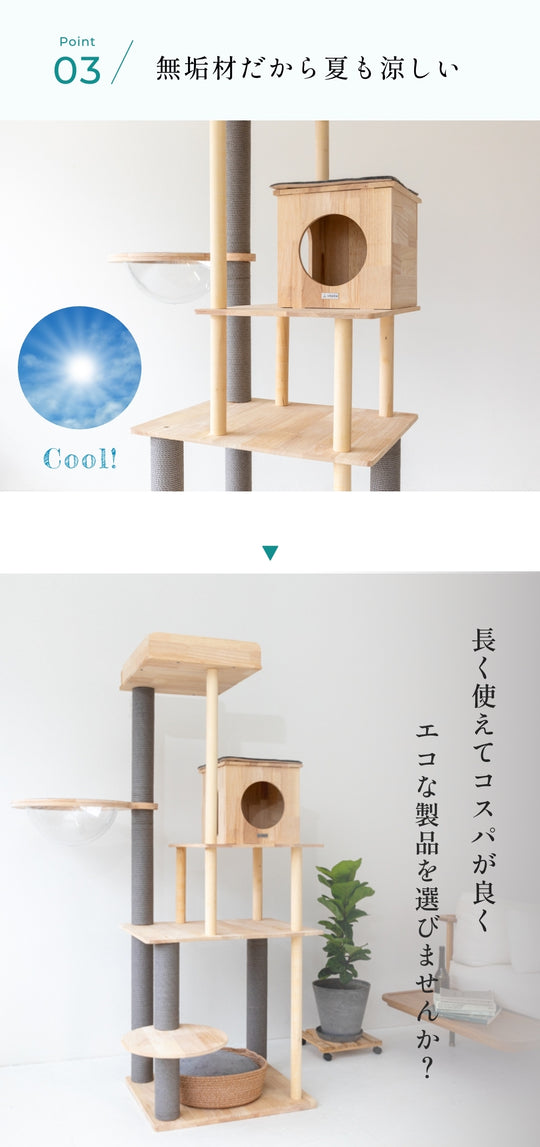 CAT TREE【Medium 165cm】