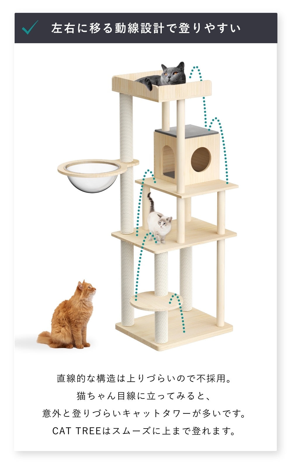 CAT TREE【Medium 165cm】