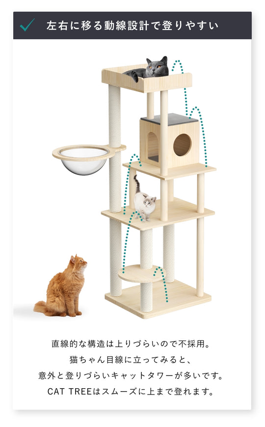 CAT TREE【Medium 165cm】