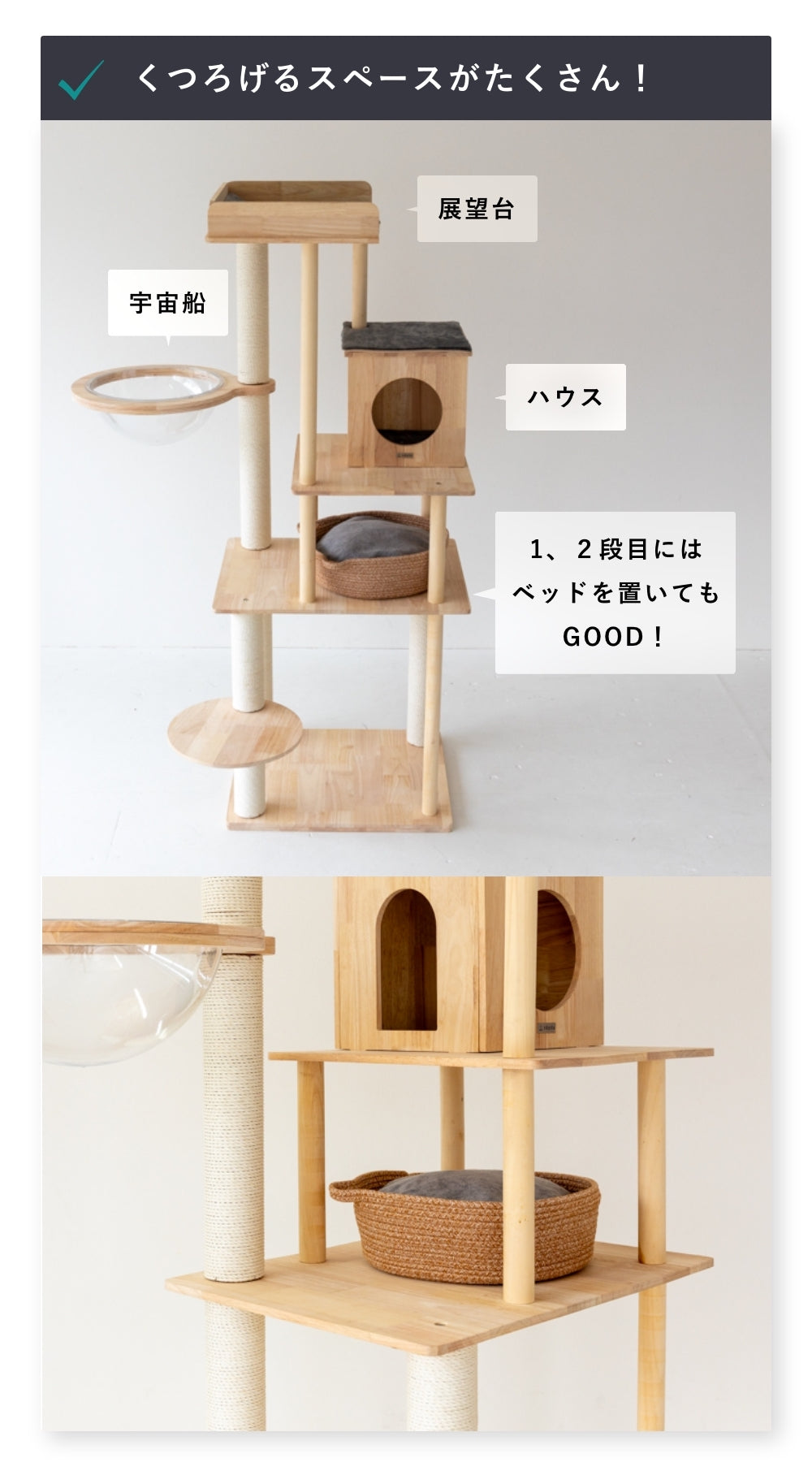 CAT TREE【Medium 165cm】